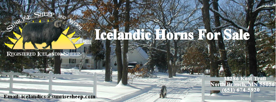 2011 Horns For Sale Header