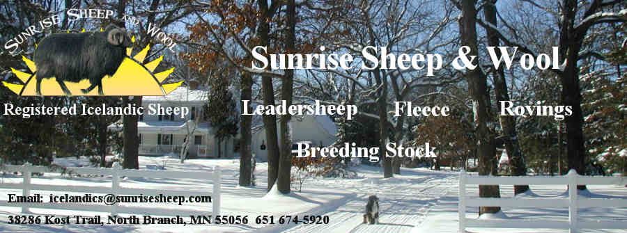 Welcome to Sunrise Sheep & Wool